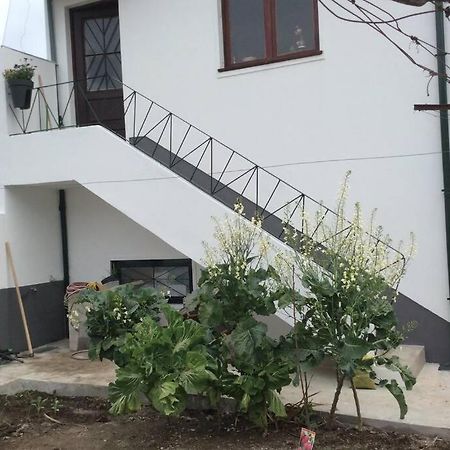 Casa Isabel 2 Bedroom Apartment Near Porto Fanzeres المظهر الخارجي الصورة