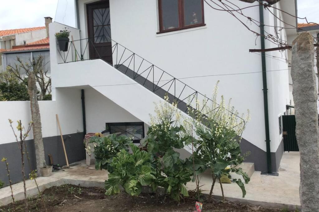 Casa Isabel 2 Bedroom Apartment Near Porto Fanzeres المظهر الخارجي الصورة