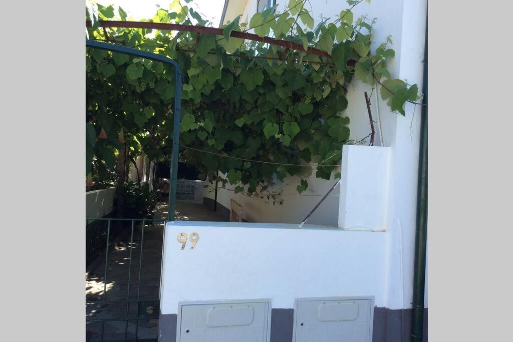 Casa Isabel 2 Bedroom Apartment Near Porto Fanzeres المظهر الخارجي الصورة